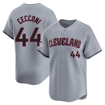 Slade Cecconi Youth Limited Cleveland Guardians Gray Road Jersey