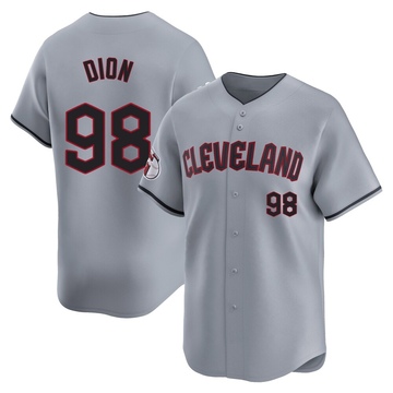 Will Dion Men's Limited Cleveland Guardians Gray Road Jersey